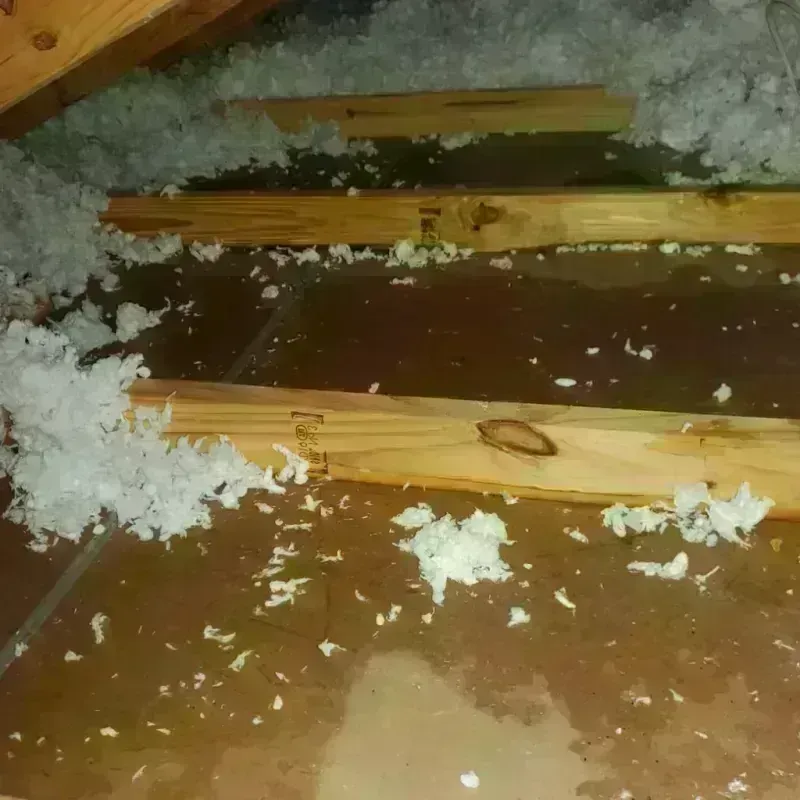 Attic Water Damage in Dogtown, CA